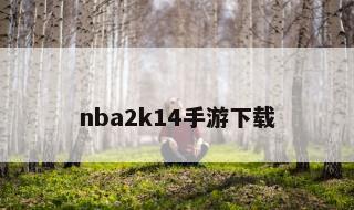 nba2k14手游下载 nba2k14安卓游戏下载